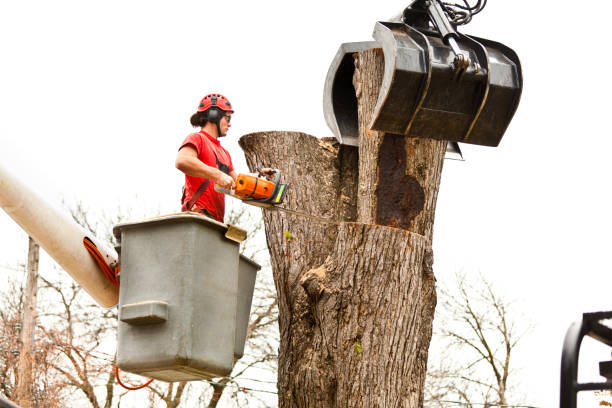 Soil Testing and Treatment in Lamar, MO